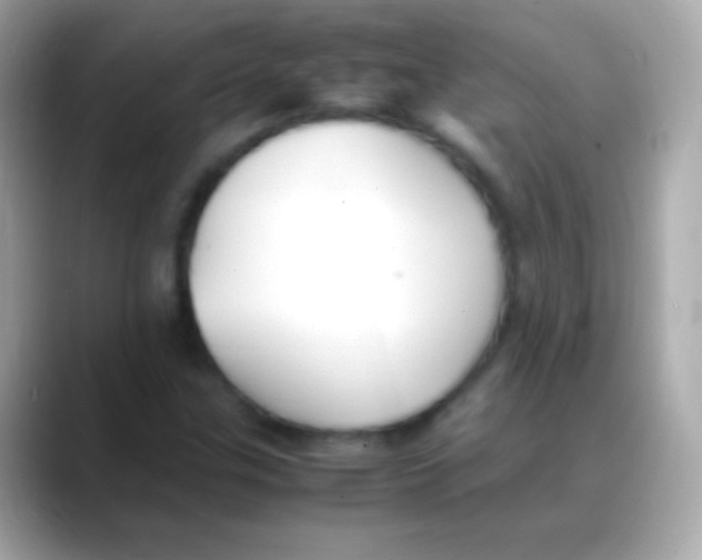 X0000088151307200706042021