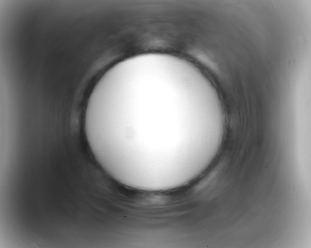 X0000088151309200706042021