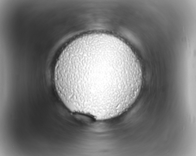 X0000088151310200706042021