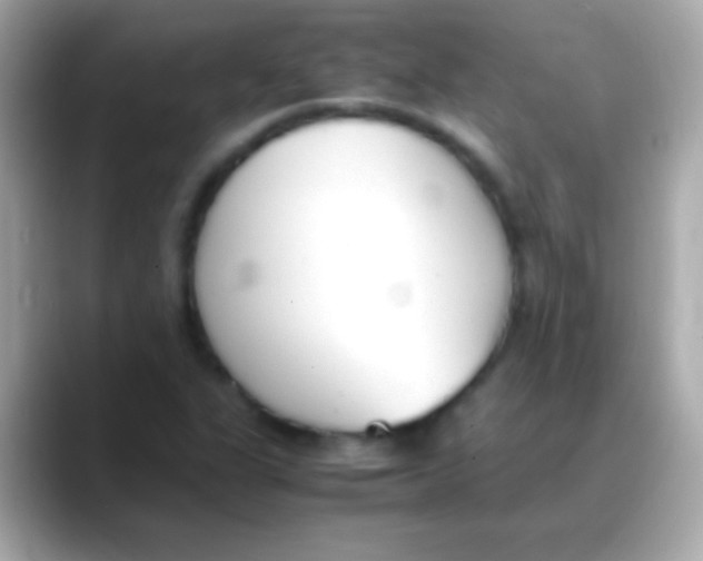 X0000088151311200706042021