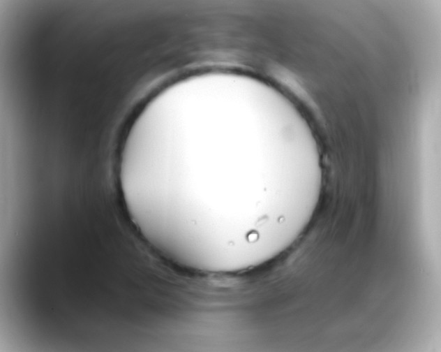 X0000088151312200706042021