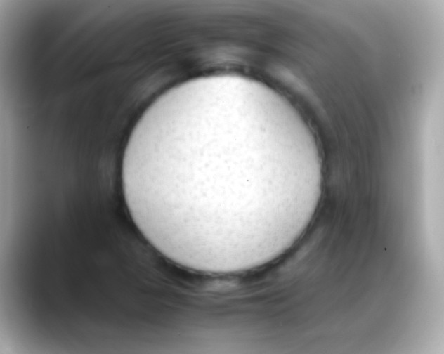 X0000088151313200706042021