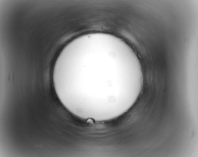 X0000088151315200706042021