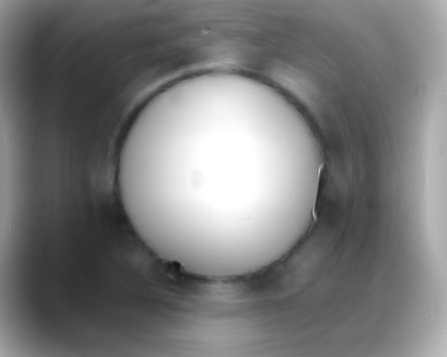 X0000088151316200706042021