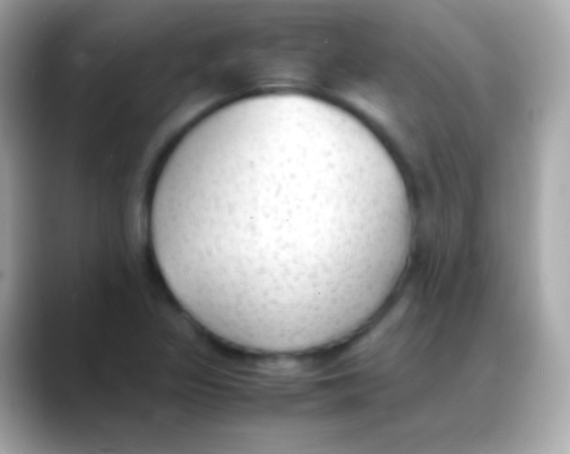 X0000088151317200706042021