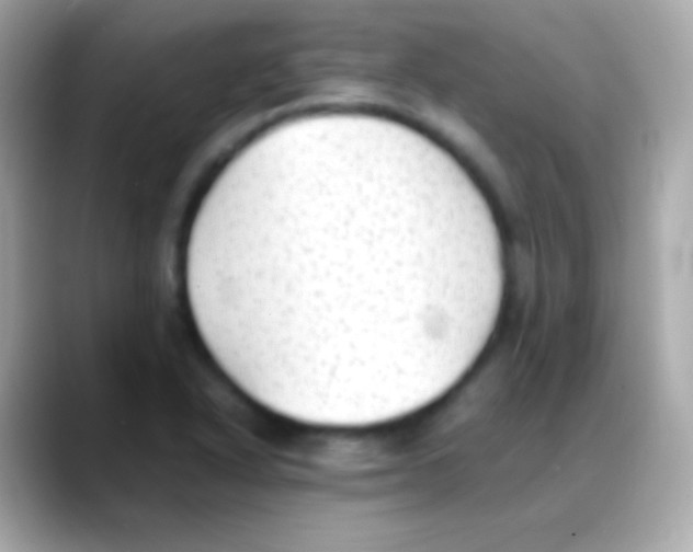 X0000088151318200706042021