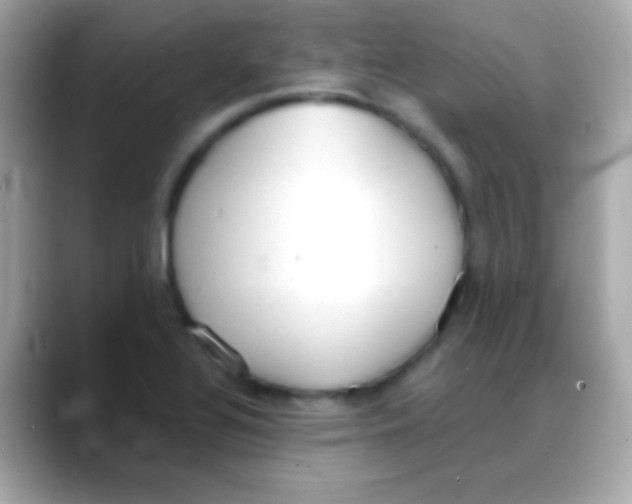 X0000088151320200706042021