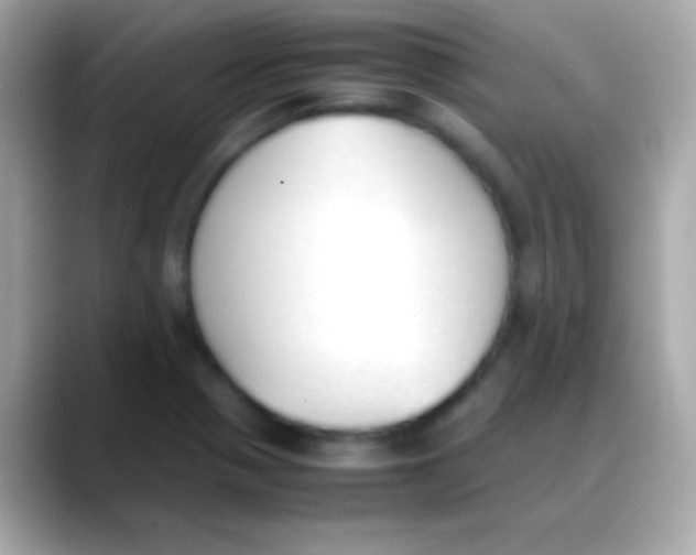 X0000088151321200706042021