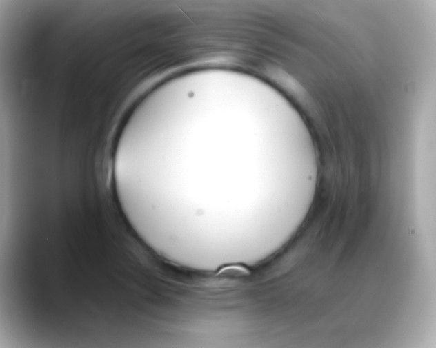 X0000088151324200706042021