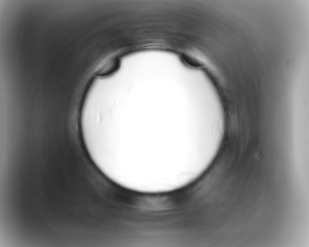 X0000088151325200706042021