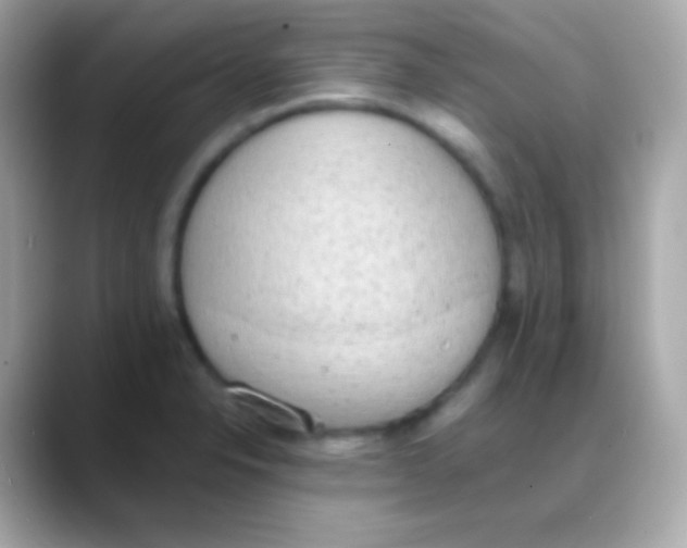 X0000088151326200706042021