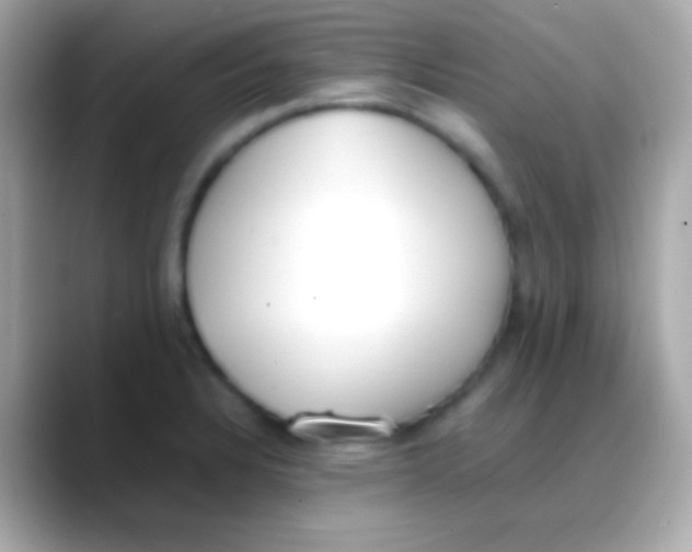 X0000088151328200706042021