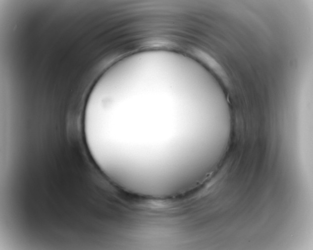 X0000088151330200706042021