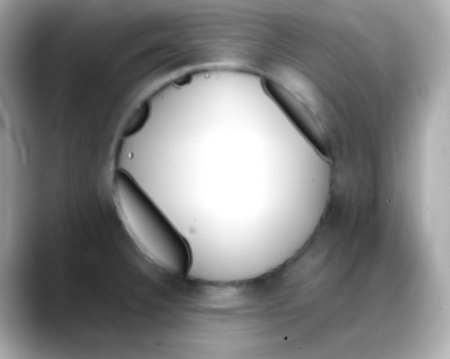 X0000088151332200706042021