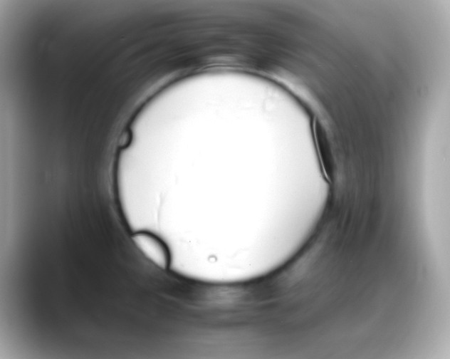 X0000088151333200706042021