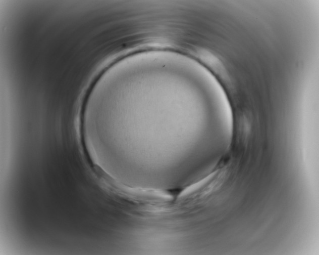 X0000088151334200706042021