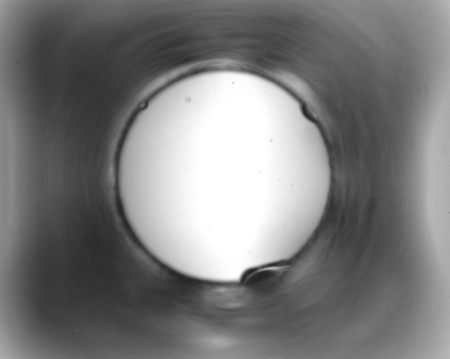 X0000088151335200706042021