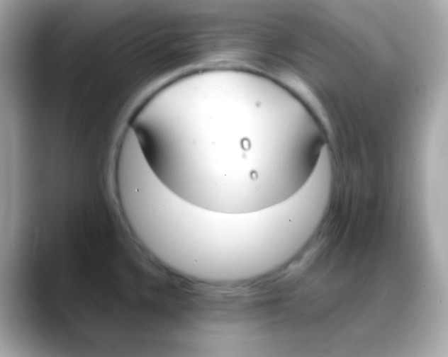 X0000088151336200706042021