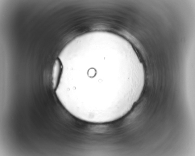 X0000088151337200706042021