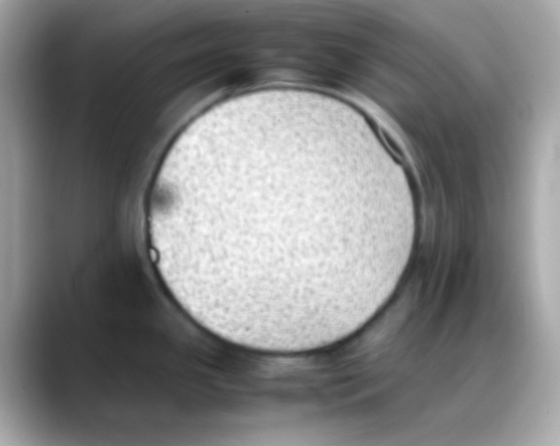 X0000088151341200706042021