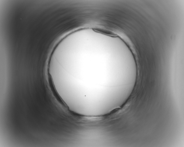 X0000088151344200706042021