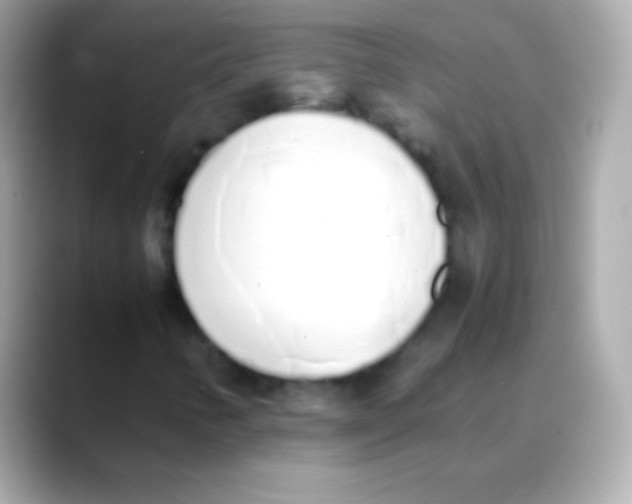 X0000088151346200706042021