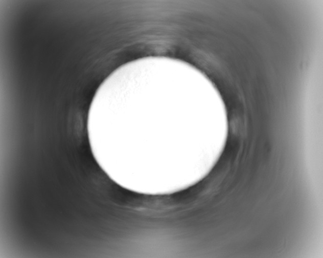 X0000088151347200706042021