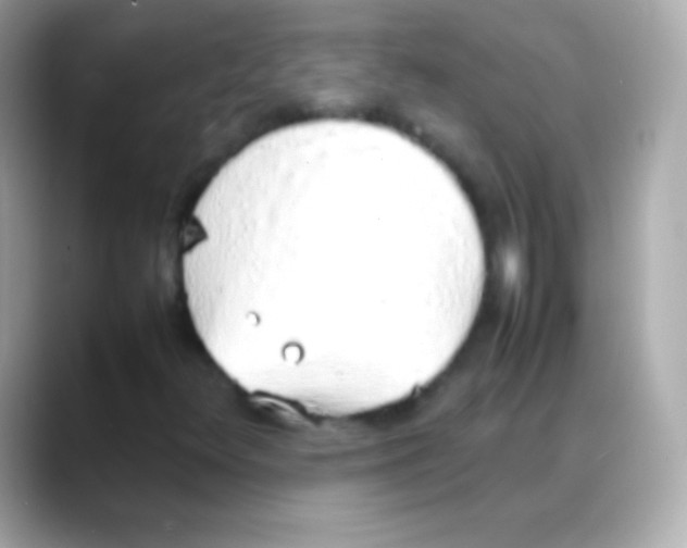 X0000088151348200706042021