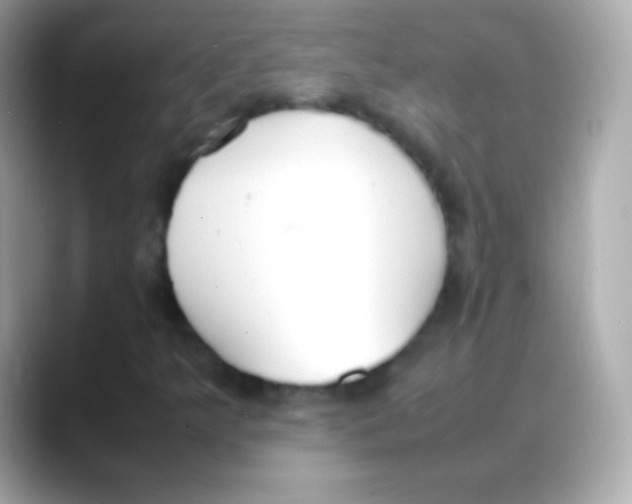 X0000088151349200706042021