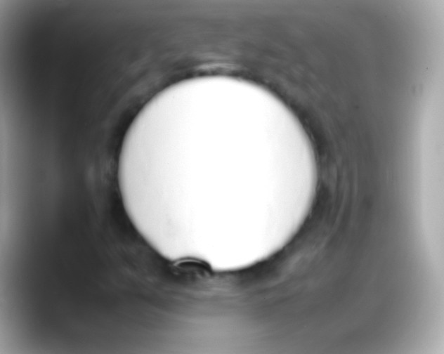 X0000088151351200706042021