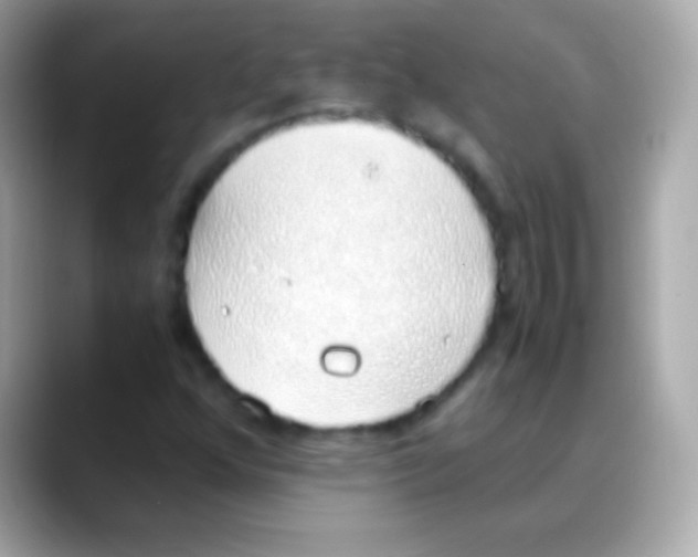 X0000088151352200706042021