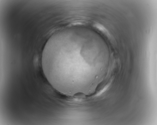 X0000088151353200706042021