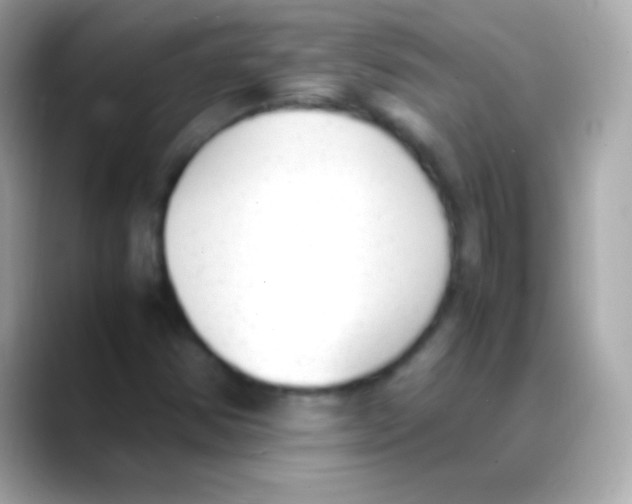 X0000088151354200706042021