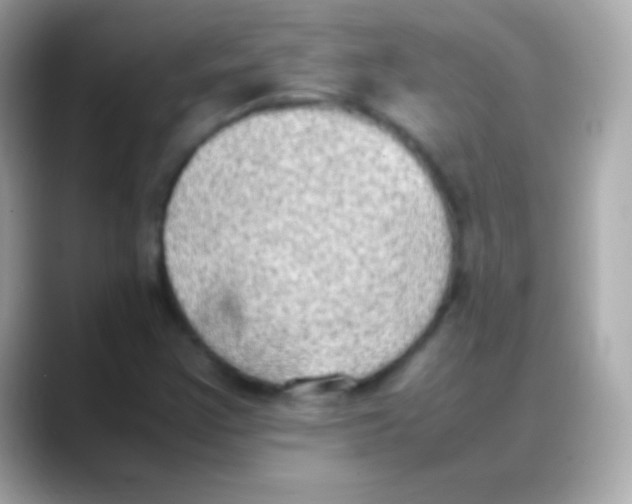 X0000088151355200706042021