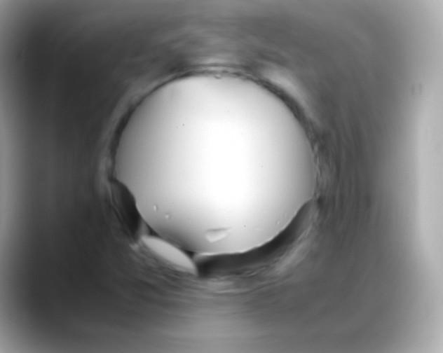 X0000088151357200706042021