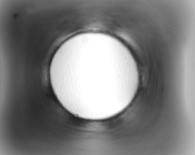 X0000088151358200706042021