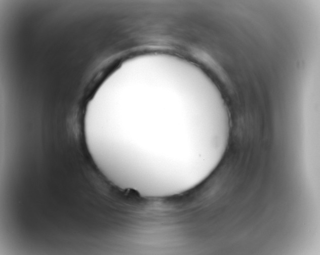 X0000088151360200706042021