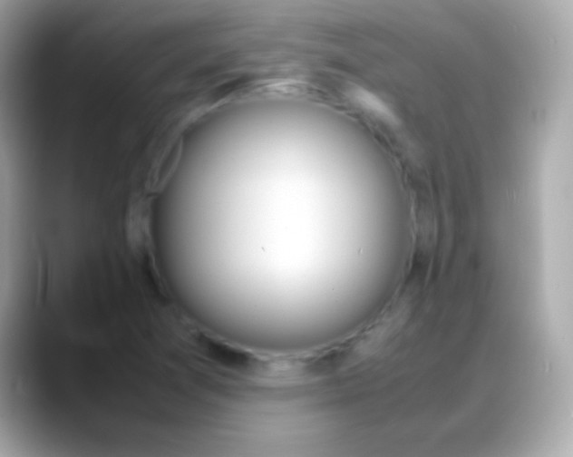 X0000088151361200706042020