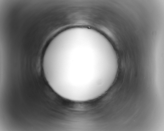 X0000088151364200706042020