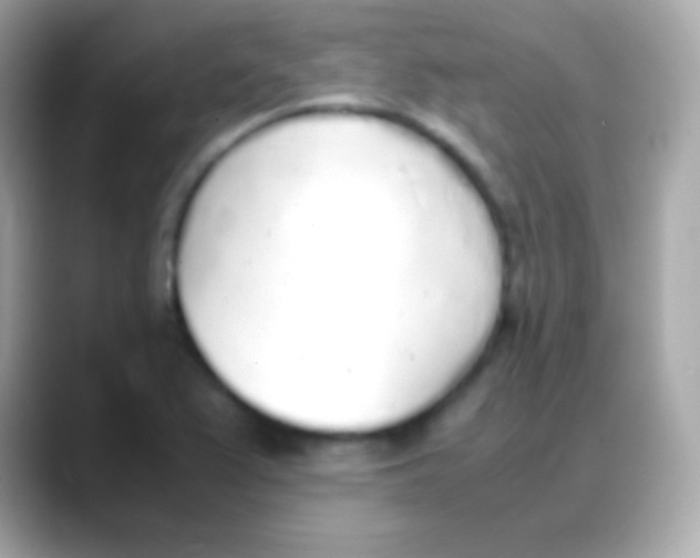 X0000088151367200706042020