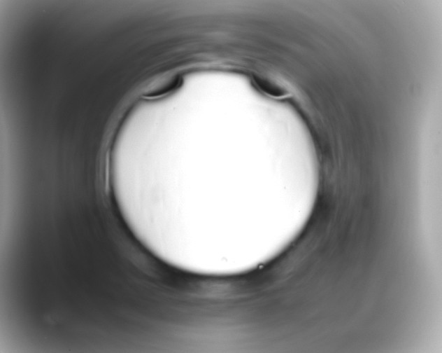 X0000088151371200706042020