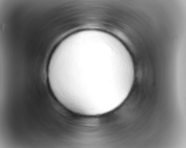 X0000088151372200706042020