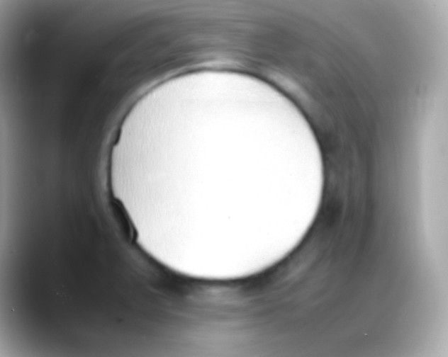 X0000088151375200706042020