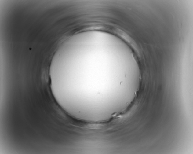 X0000088151377200706042020