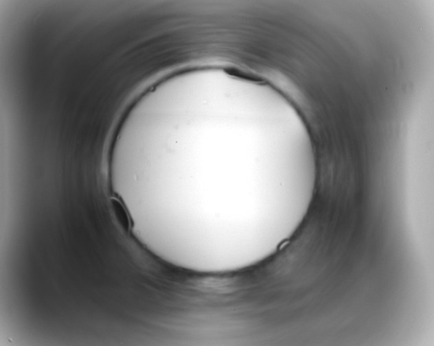 X0000088151380200706042020