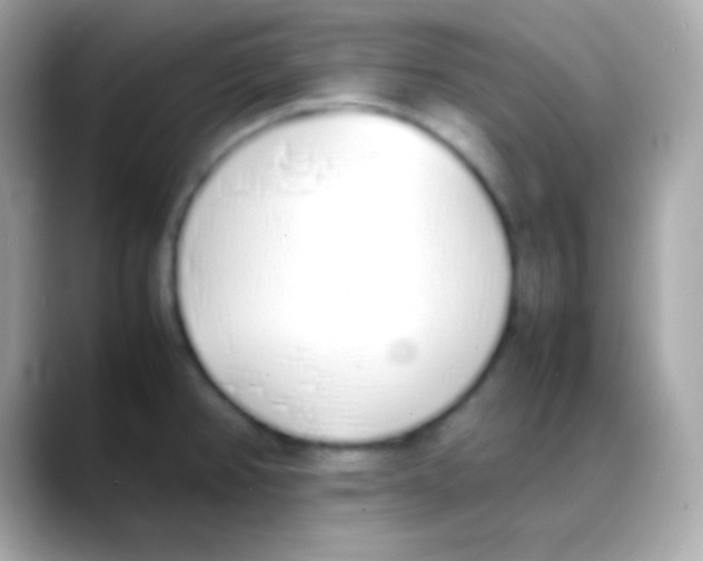 X0000088151382200706042020