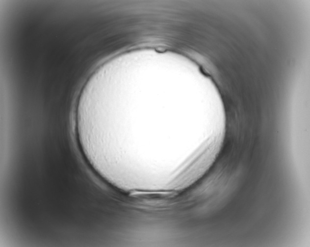 X0000088151383200706042020