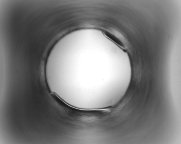 X0000088151384200706042020