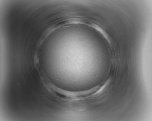 X0000088151385200706042020