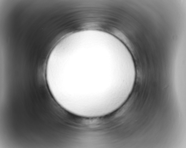 X0000088151386200706042020